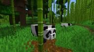 Image via Minecraft